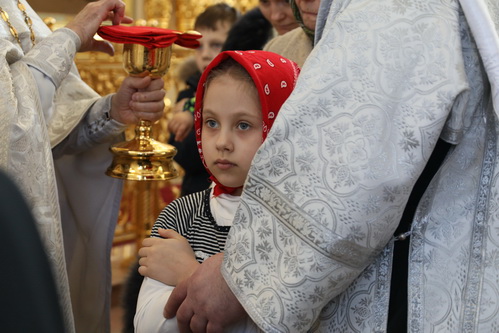 В Неделю о блудном сыне